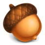 acorn-06-535x535
