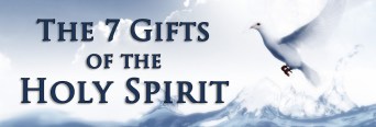 7-gifts-banner-copy-copy