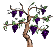 jesus-vine-branch-clipart-1